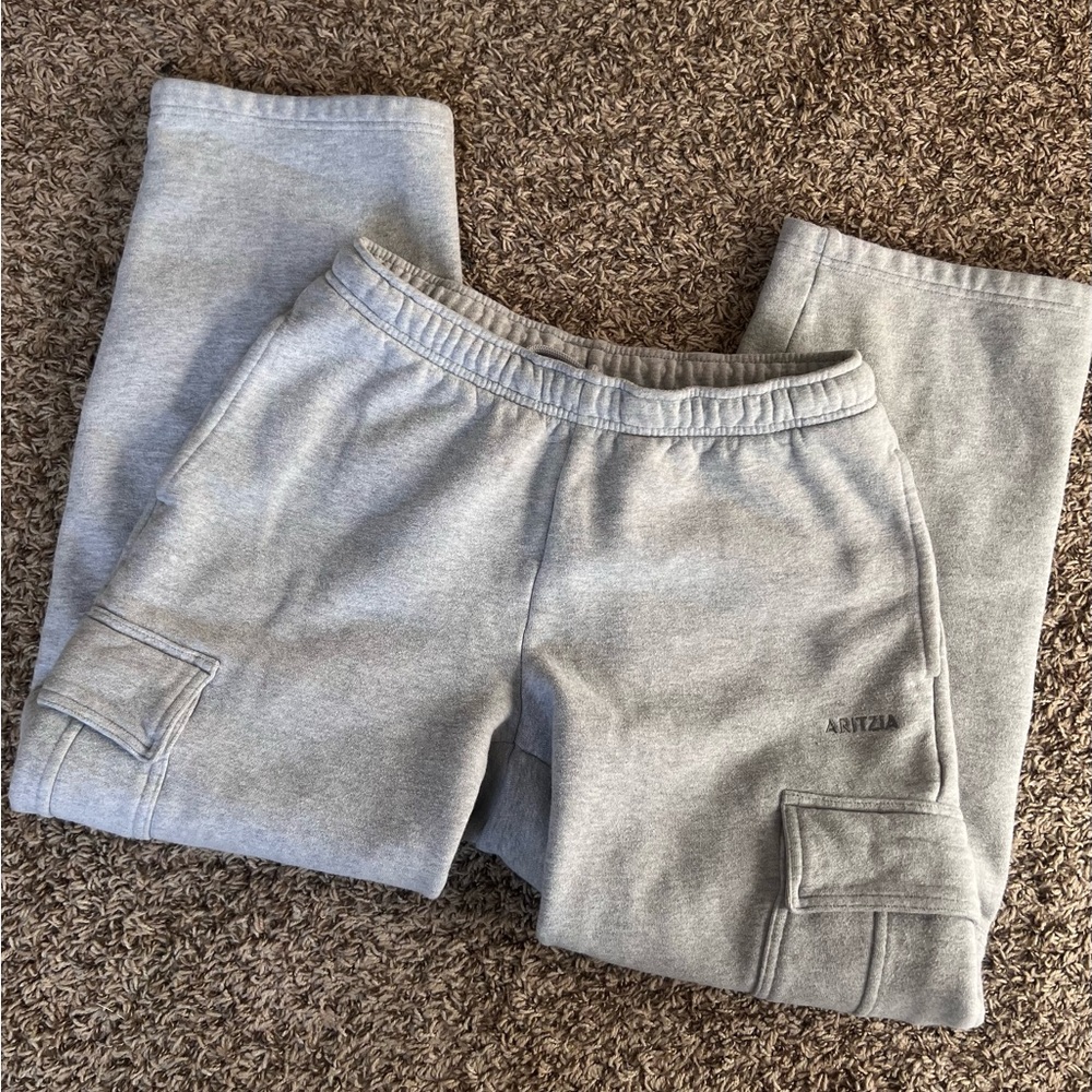 ARITZIA Cozy Sweatfleece Mega Cargo Sweatpants